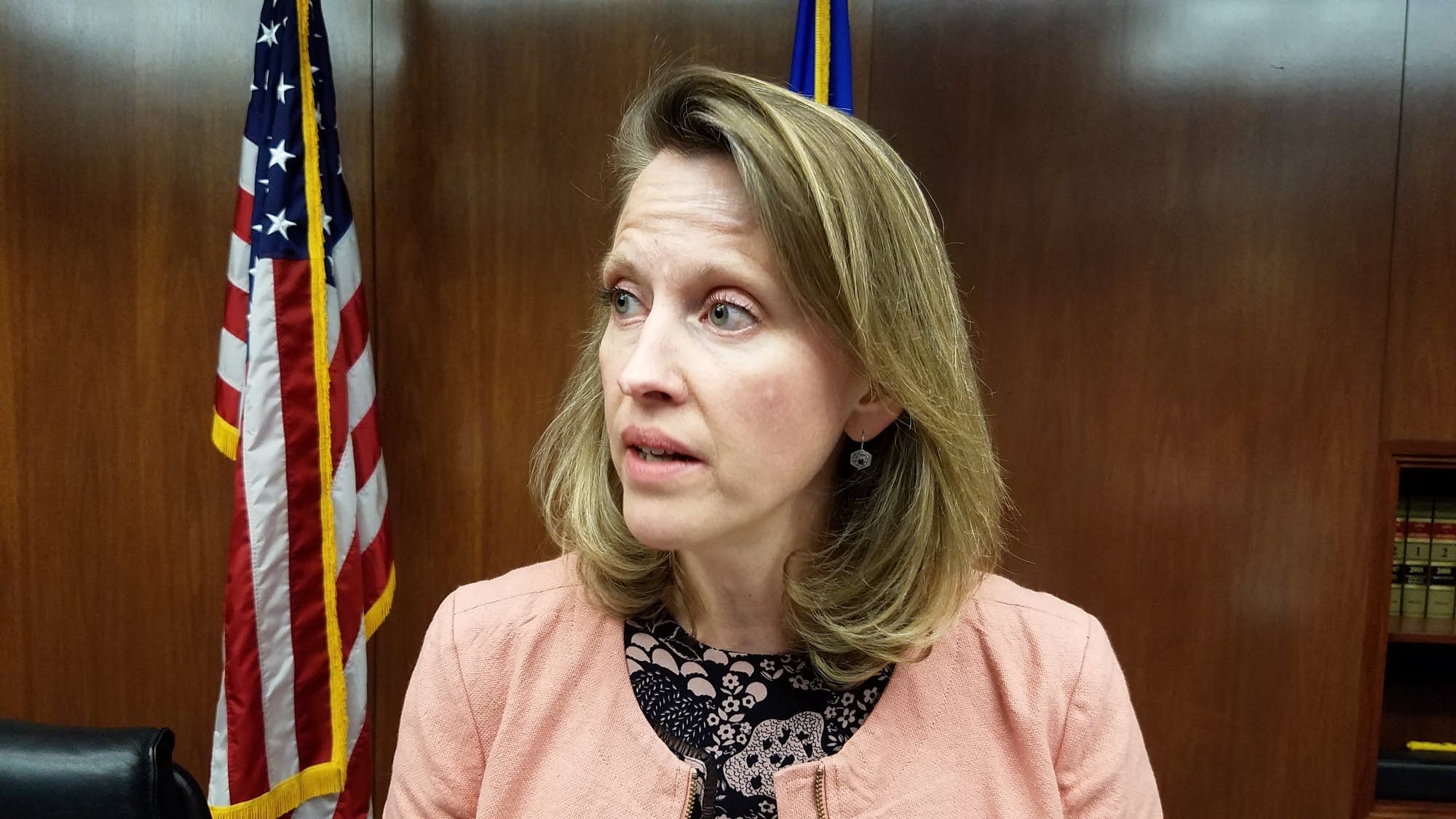 Rep. Sarah Anderson in St. Paul on Feb. 16, 2017.