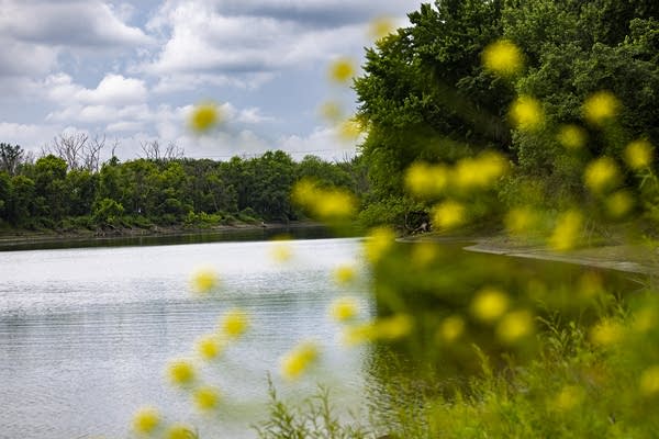 A view of the Minnesota River.