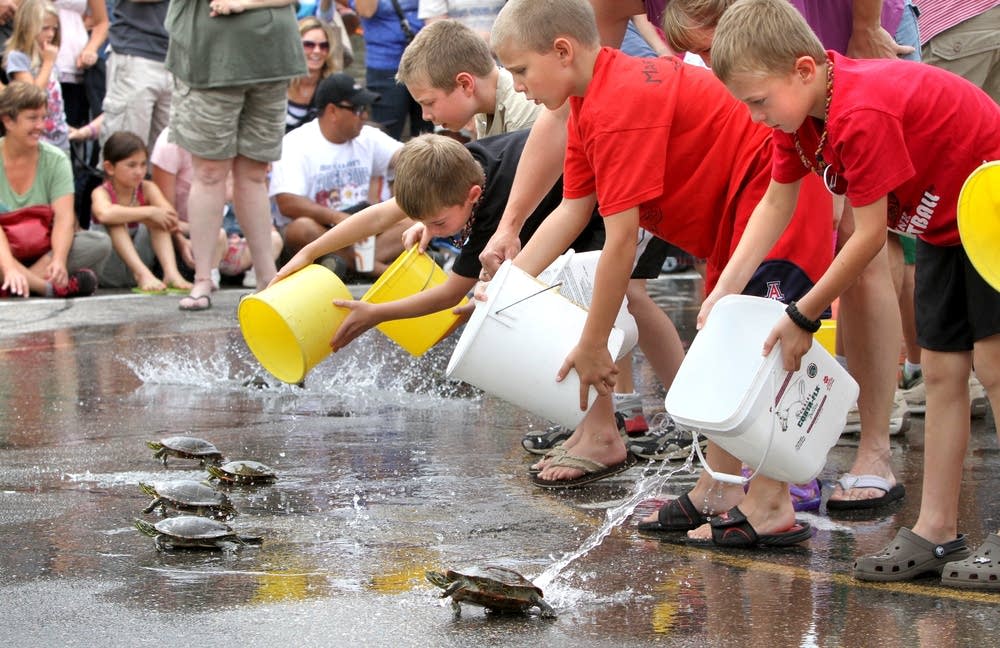 Minnesota Daily Life - Nisswa Turtle Races