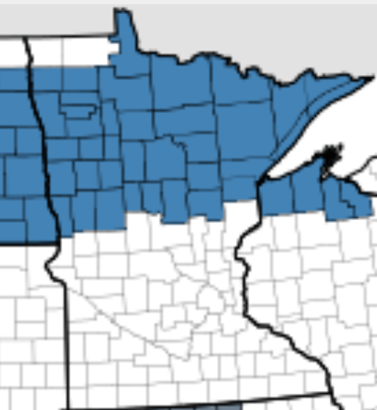 Winter storm watch