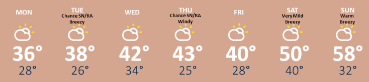 weather graphic