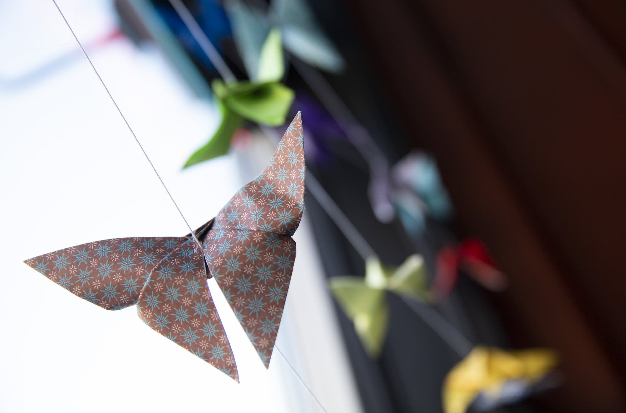 Origami butterflies hang in the window at Cafe Steam in Rochester, Minn.