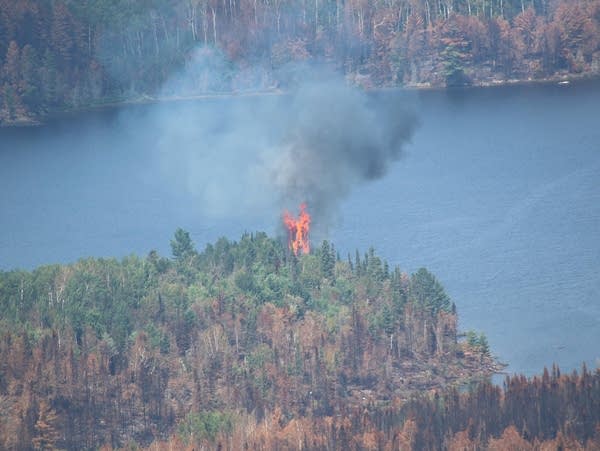 Forest Service announces more campground and entry point reopenings