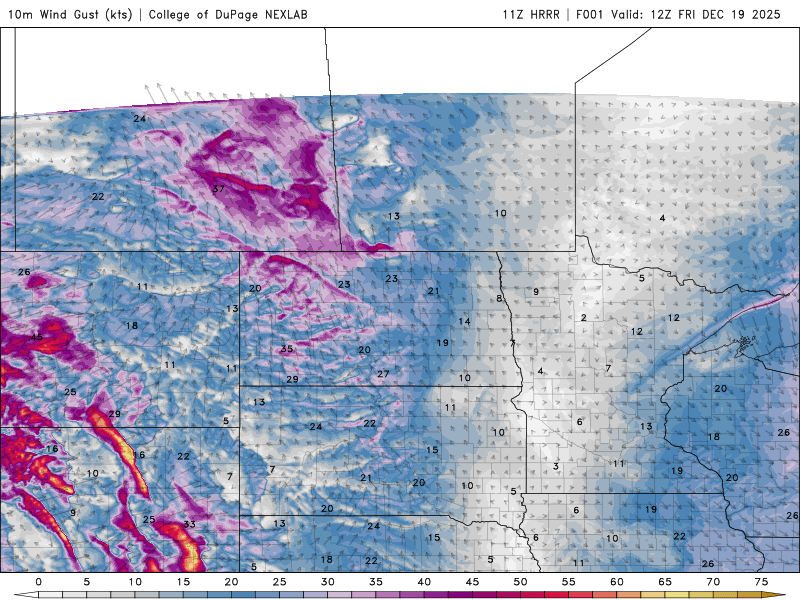 Wind gusts forecast