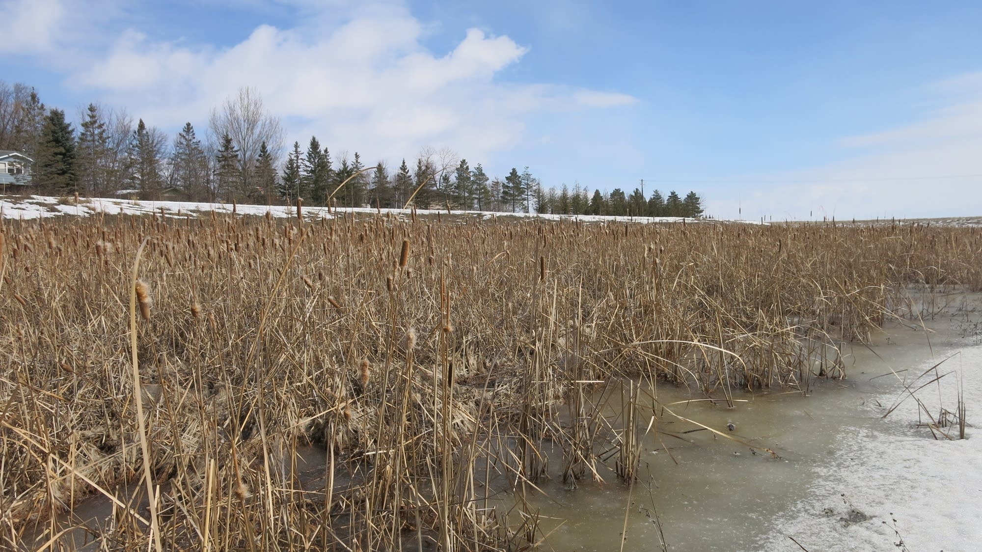 Roseau's flood diversion