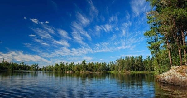 A large lake surrounded by trees on a bright summer day