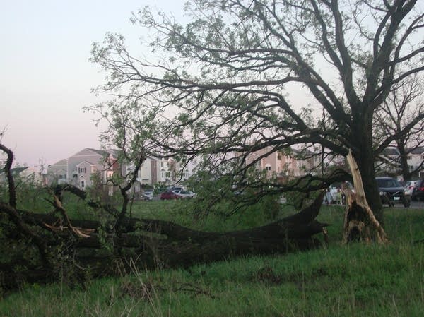 Storm damage