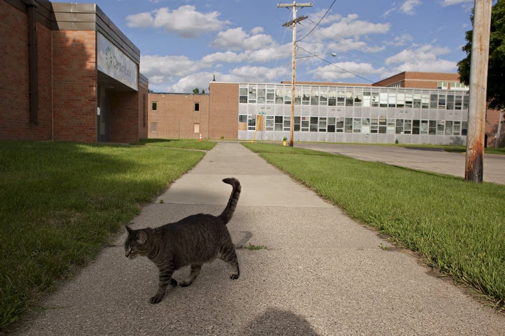 Empty school grounds