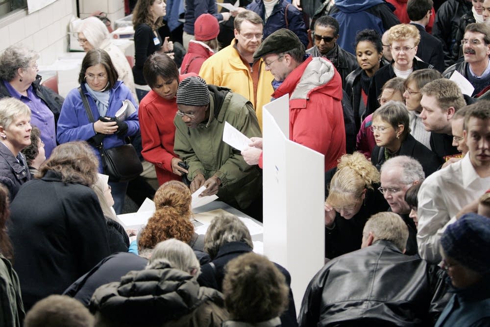 Minnesota Democratic caucus-goers