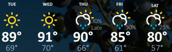 weather graphic