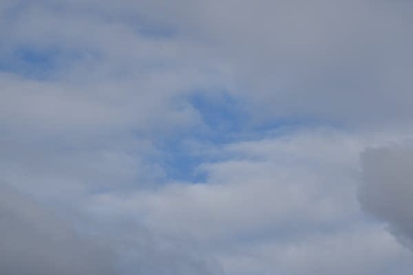 Weekend forecast: Mildest temps on Saturday; windy with flakes possible on Sunday