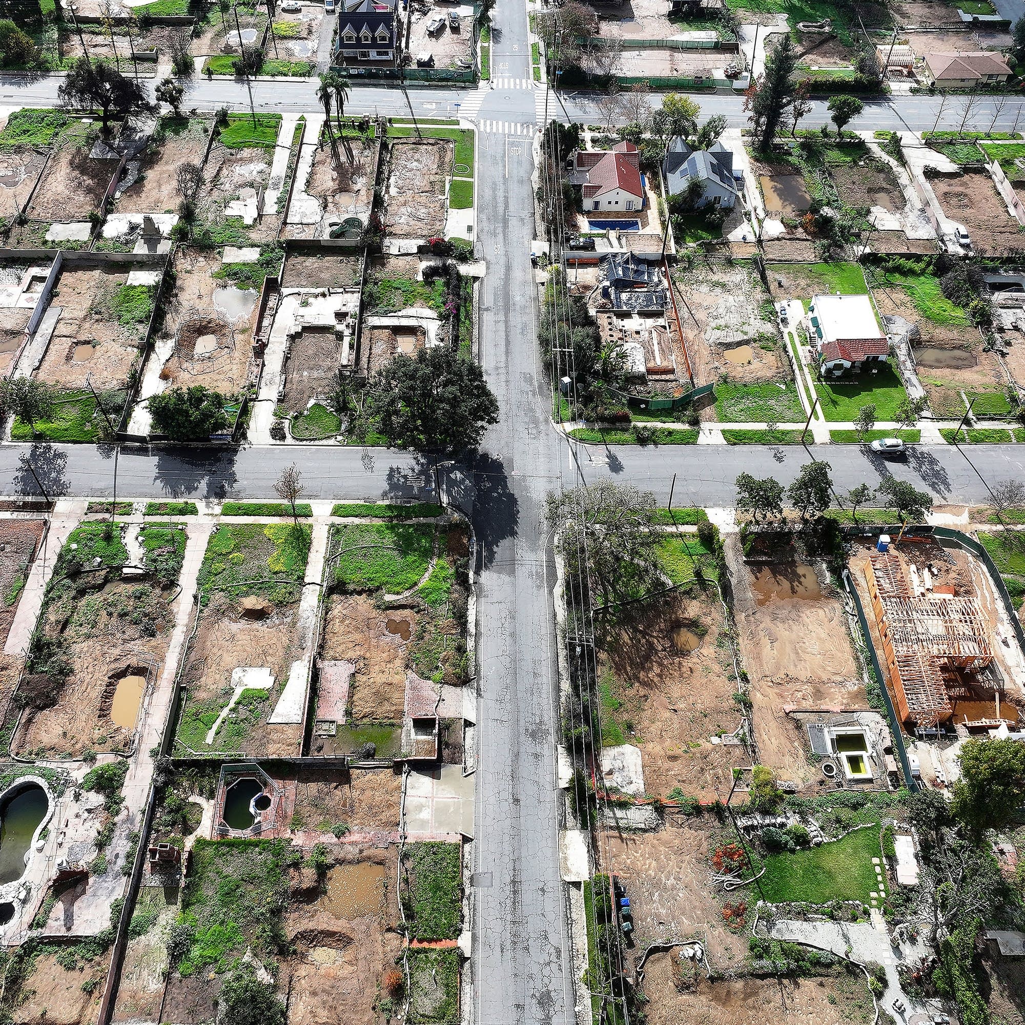 "It felt happy. Then, 24 hours, it was gone.”