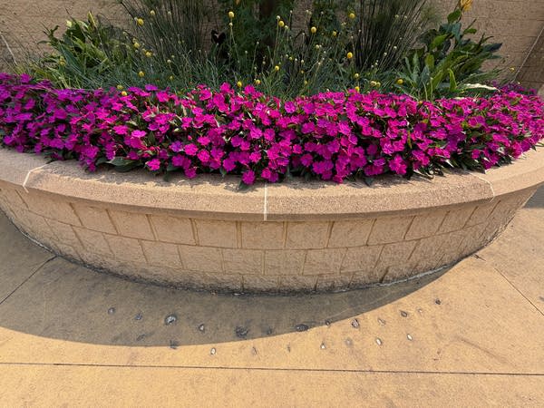 Rock collection in front of flower bed