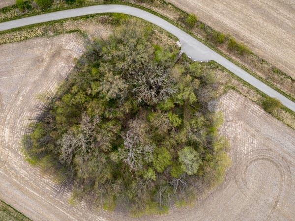 An aerial view of a sinkhole next to a bike path