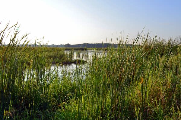 A lake in a refuge