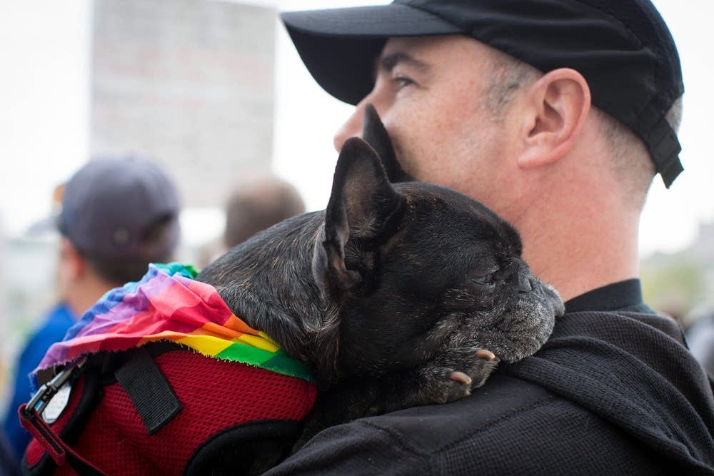 Man with dog