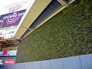 Opening day for the Minnesota Twins will feature a living wall.