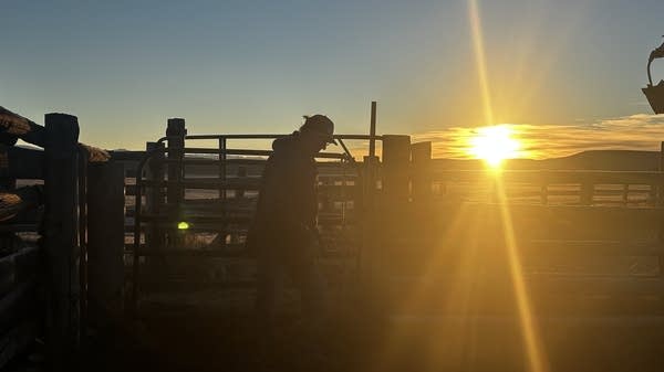 Mike Vickrey closes a gate after looking at some cattle. He has worked as a brand inspector in western Wyoming's Sublette County for 37 years.