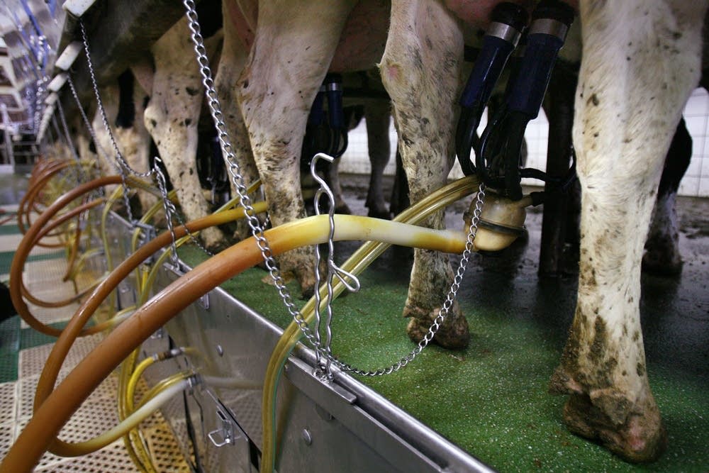 Milking machine