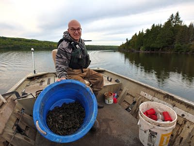 From lake to table: Turning Minnesota's invasive crayfish into a local delicacy