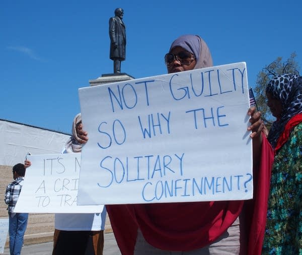 Demonstrators at the Capitol