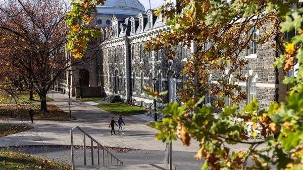 Undergrad workers unionize