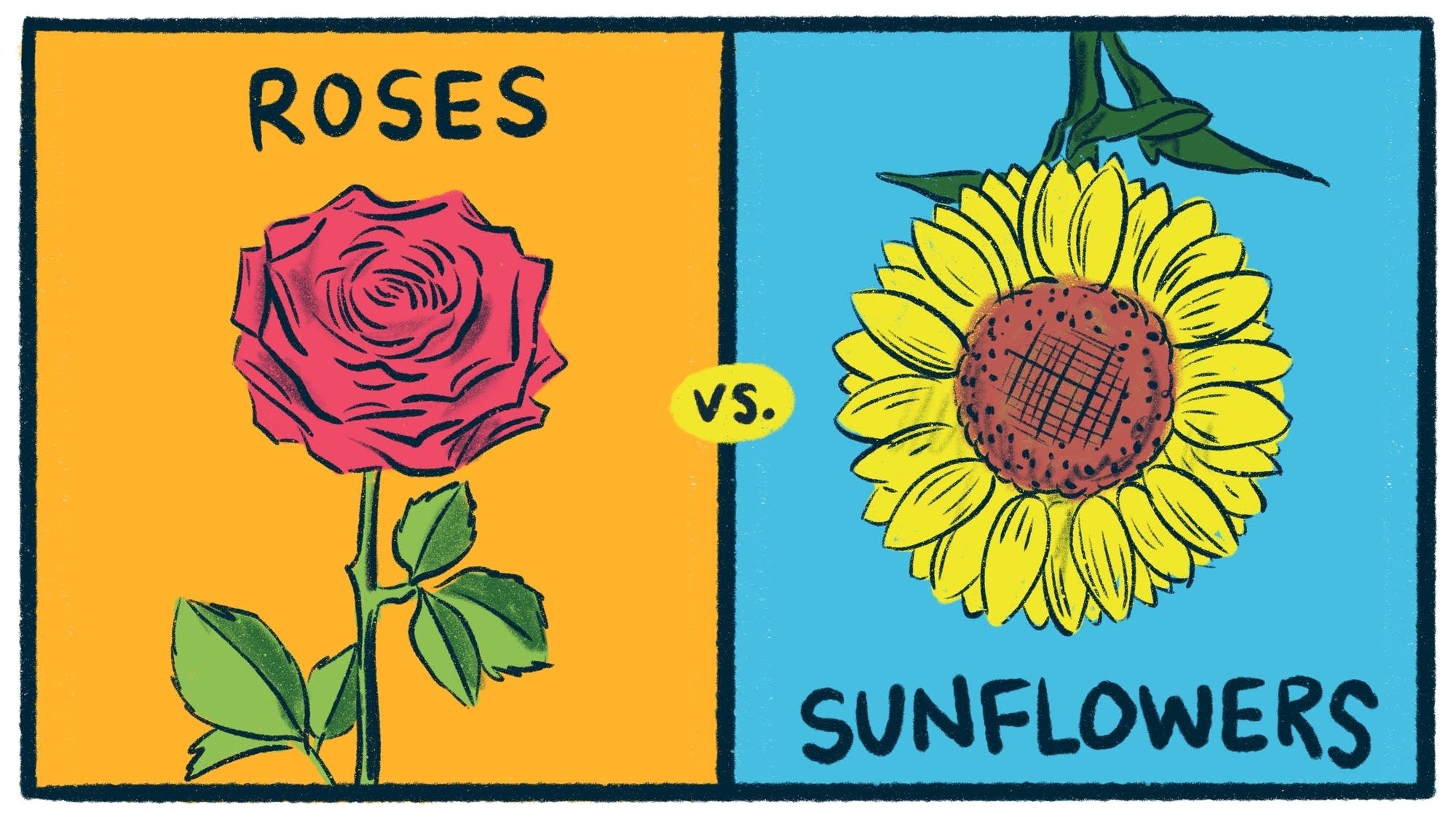 Roses vs. Sunflowers Smash Boom Best
