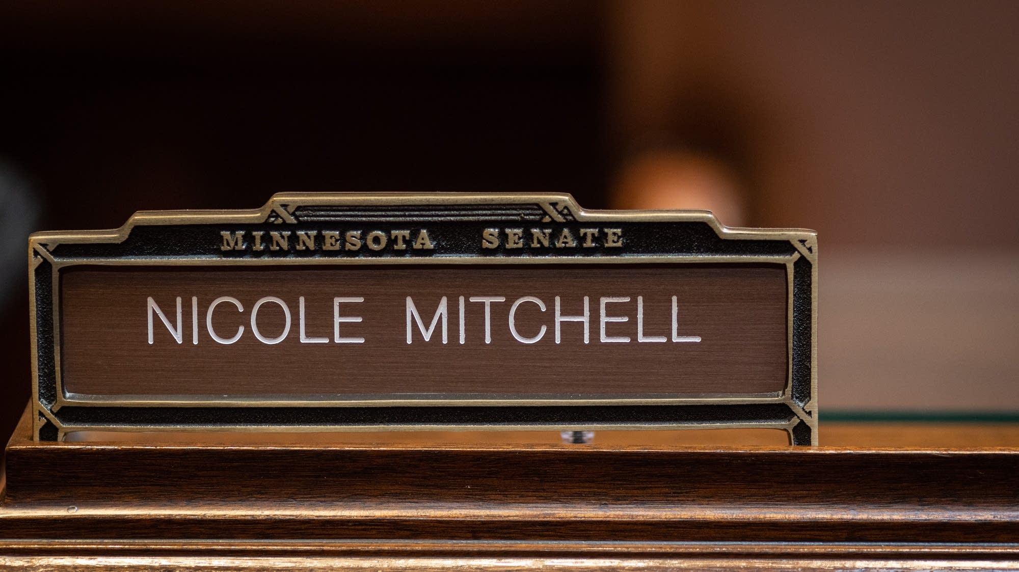 Nicole Mitchell seeks city post after 2025 conviction