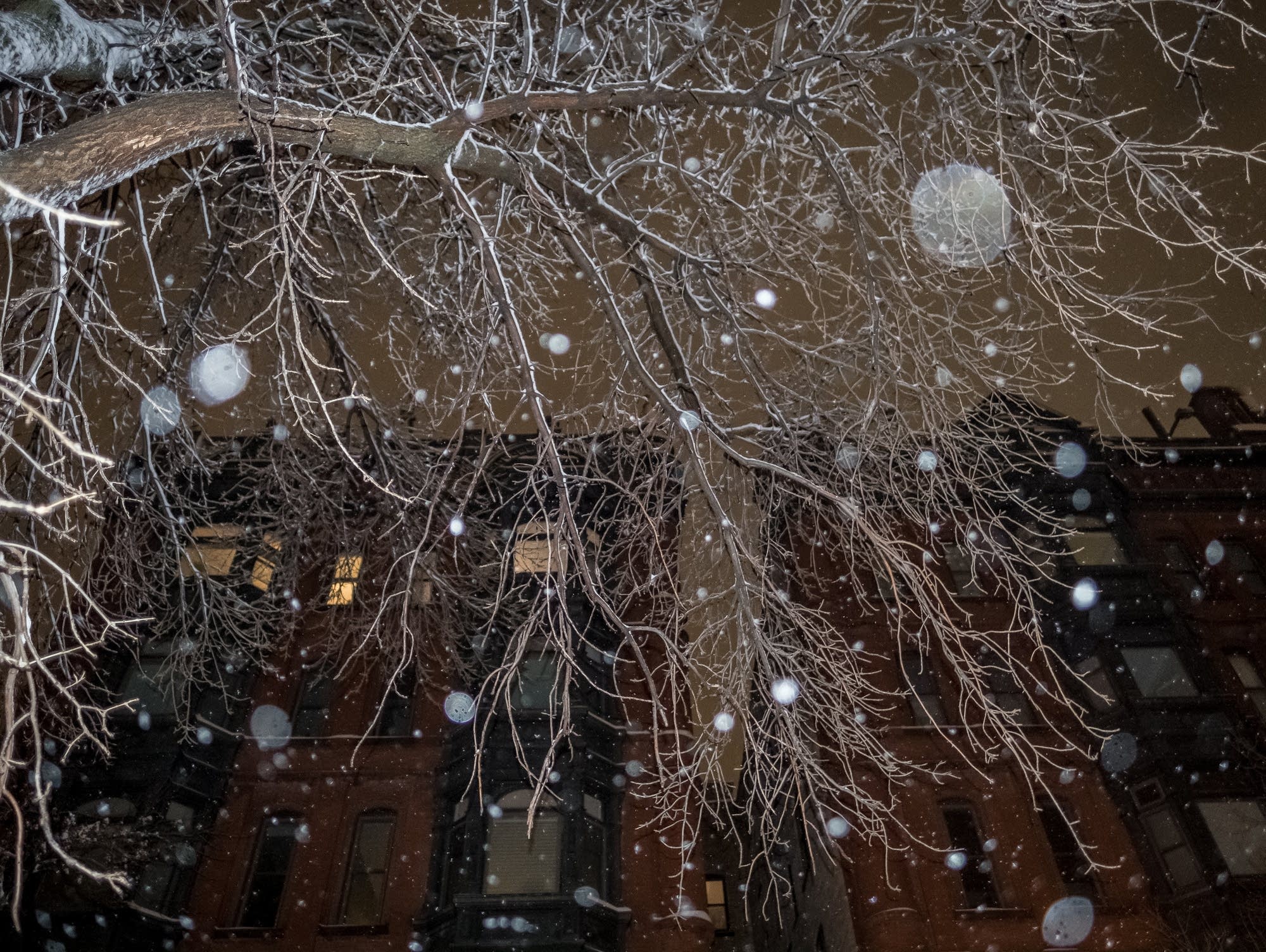 Snow falls on Cathedral Hill in St. Paul