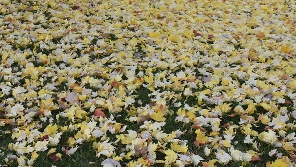 Windy Sunday; Wednesday will be warmest day of the week