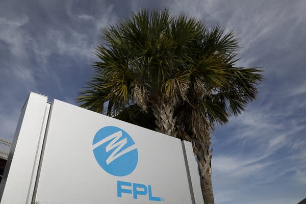 A sign for Florida Power & Light in front of a palm tree.