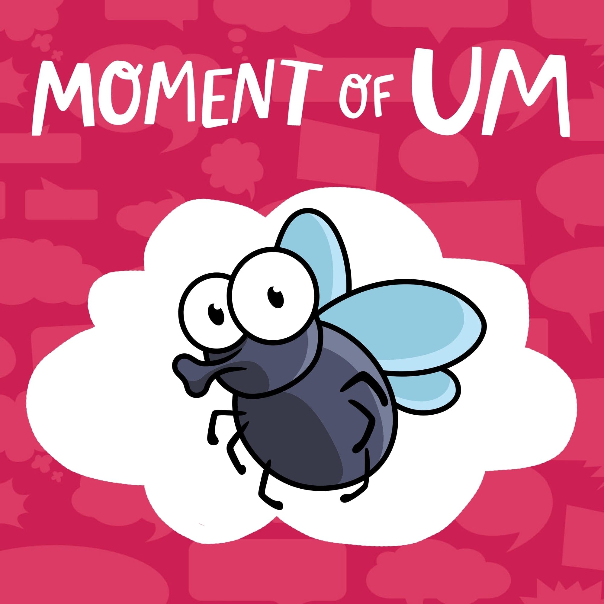 Moment Of Um