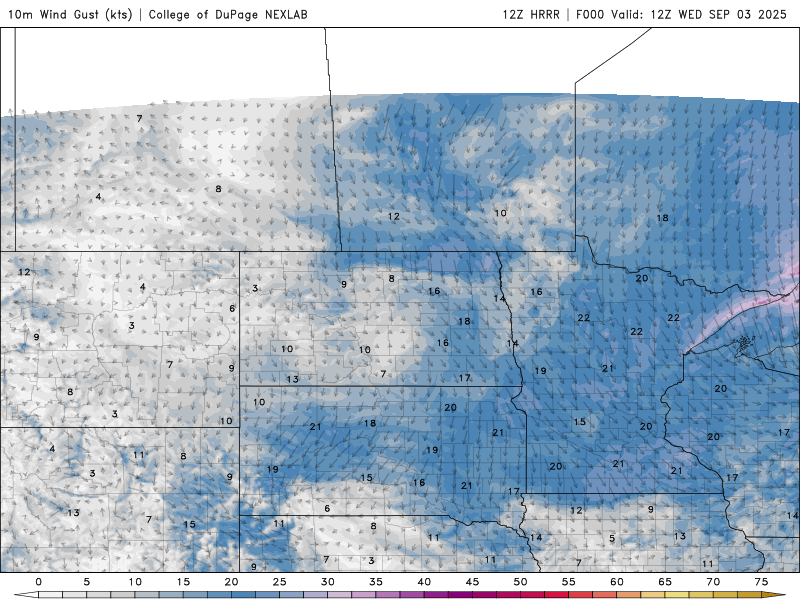 winds WED