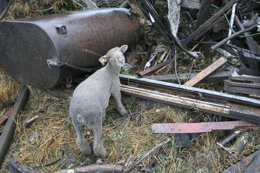 Farm damage