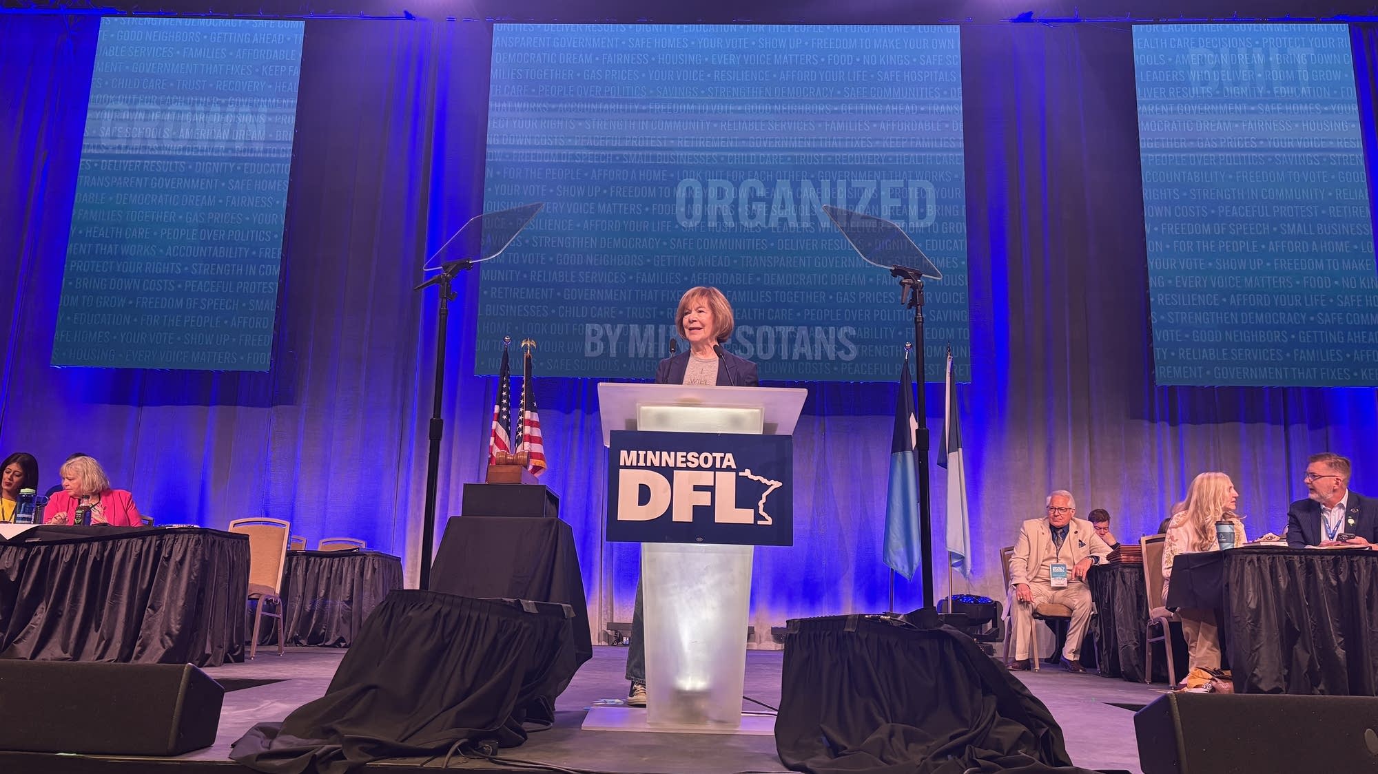 Democrats reconvene in Rochester to endorse for Senate, auditor