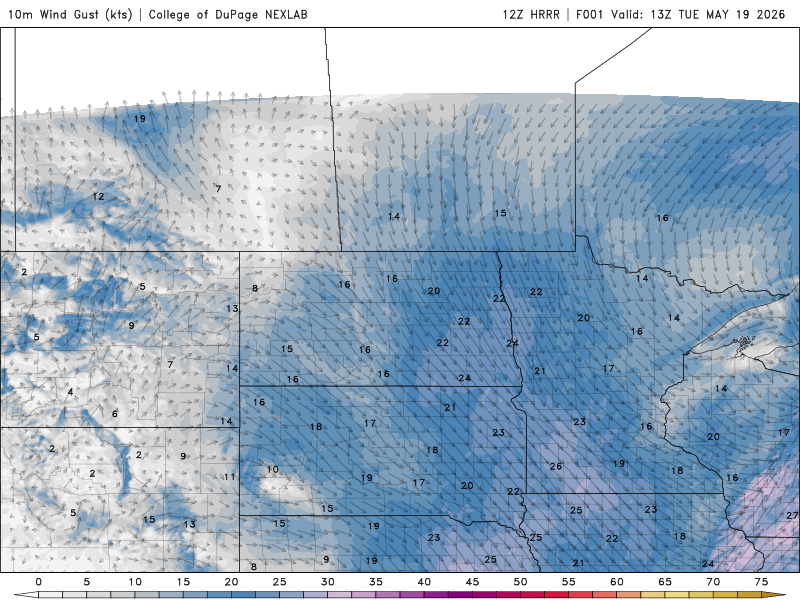 tue winds