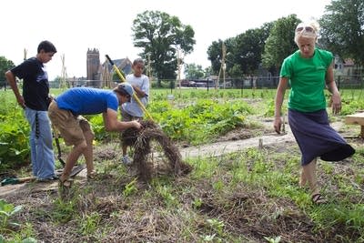 Youth farm