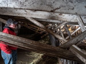 Dave Alberts looks into his collapsed barn.