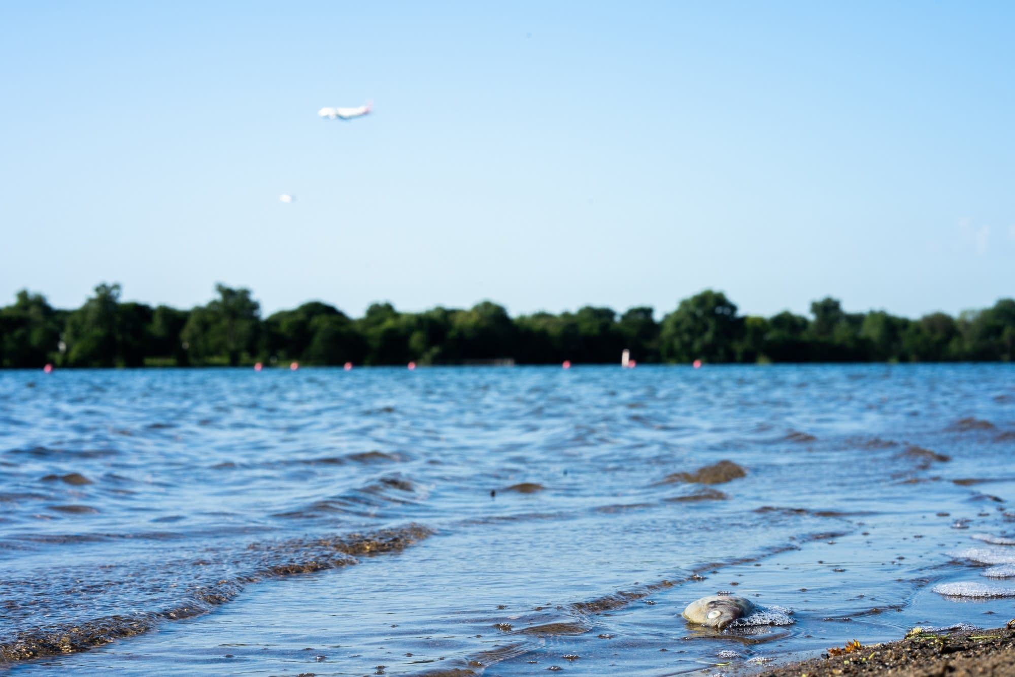 A plane descends toward over Lake Nokomis.