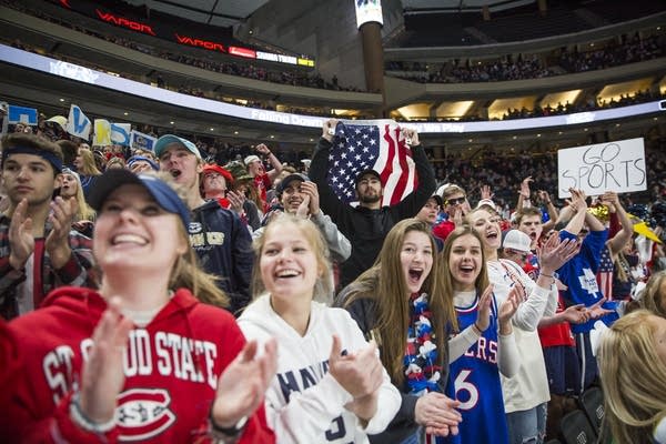 Hermantown fans react after their team scored the first goal