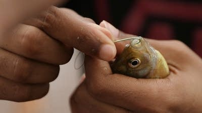 Somali youth and adults celebrating Eid learn to fish.