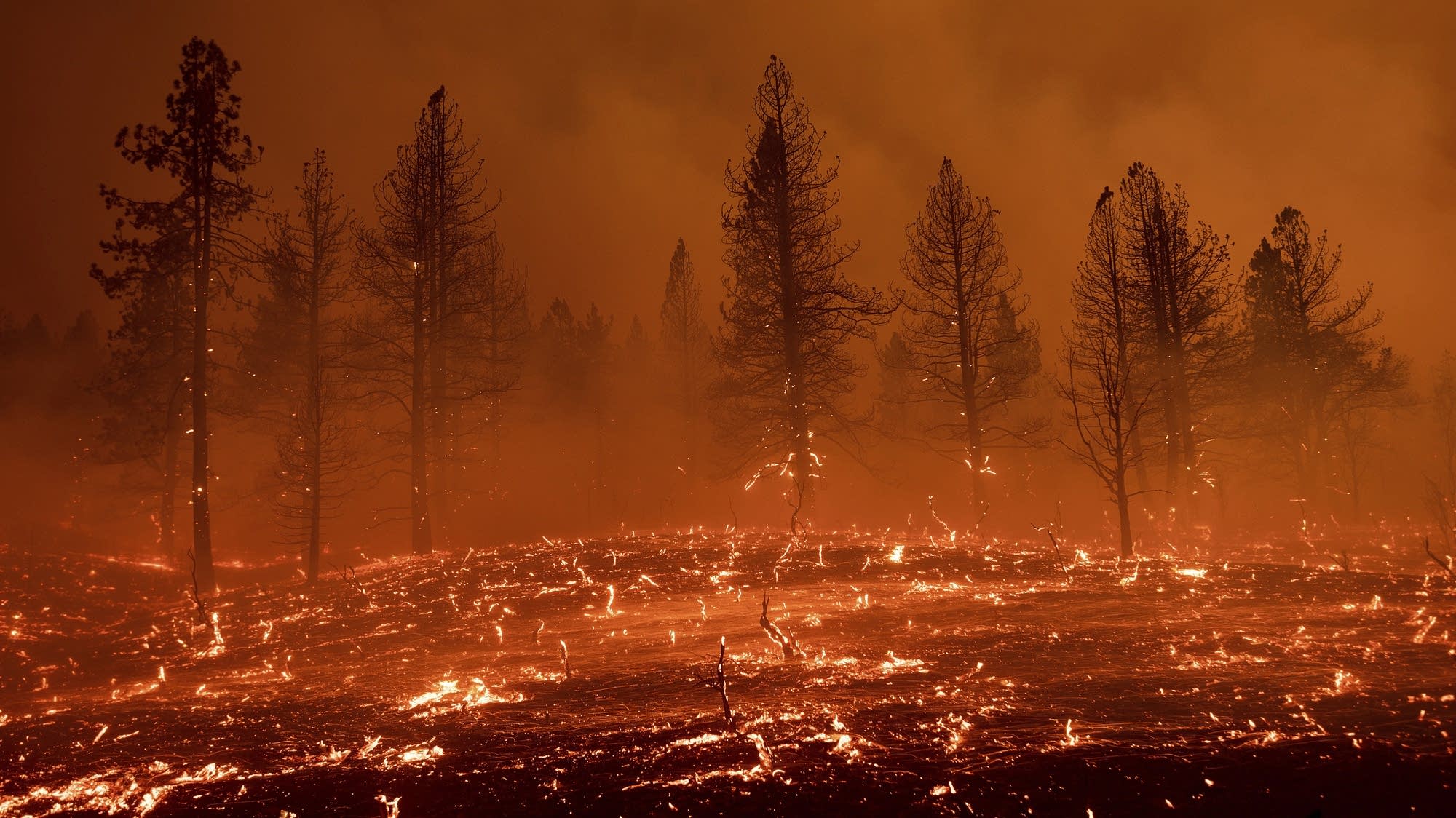 should-minnesota-prepare-for-climate-migration-mpr-news