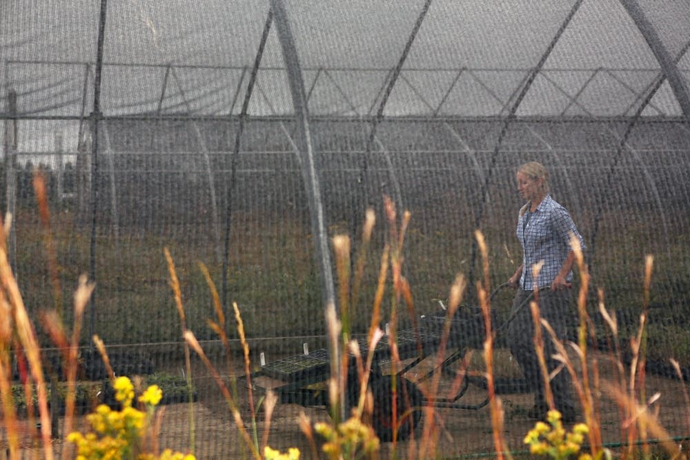Greenhouse manager