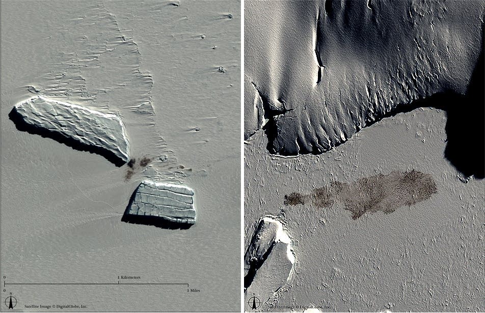 Penguins from space