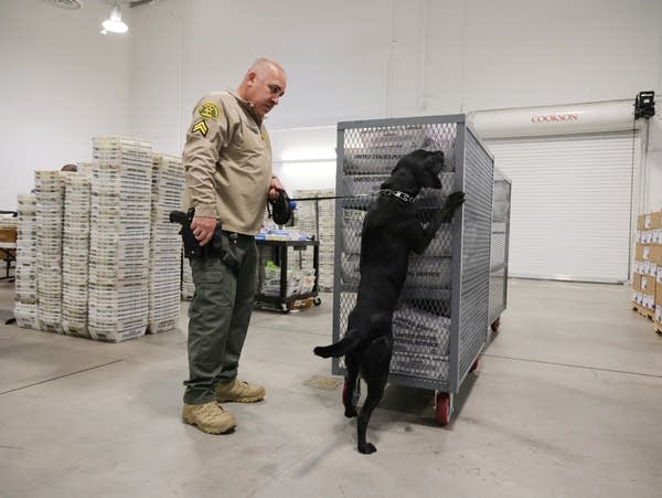 Big changes to the agency charged with securing elections lead to midterm worries