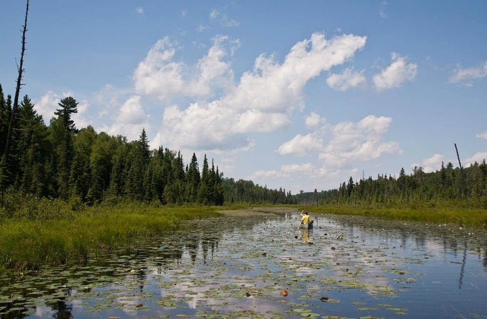 Canoeing in the BWCA