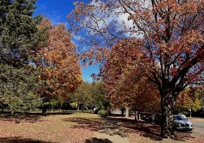 Fall colors on a walk