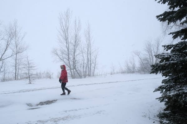 a person walks around a lake during a snowstorm