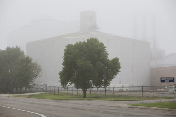 Foggy morning at the plant