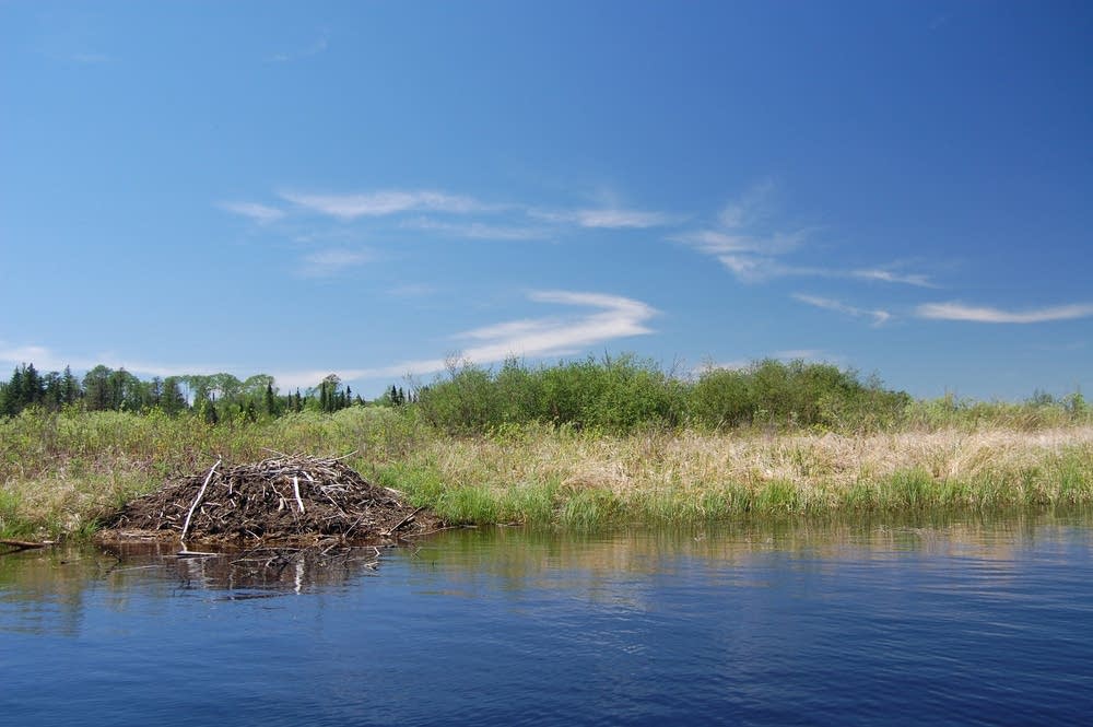 Beaver House